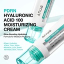 Anua PDRN Hyaluronic Acid 100 Moisturising Cream 60ml-No Colour