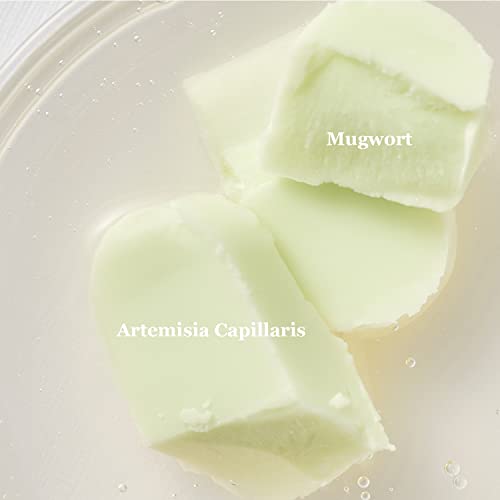 Beauty of Joseon Matte Sun Stick Mugwort + Camelia SPF50 PA++++ 18 G