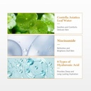 Dr. Althea Vitamin C Boosting Serum (30ml)